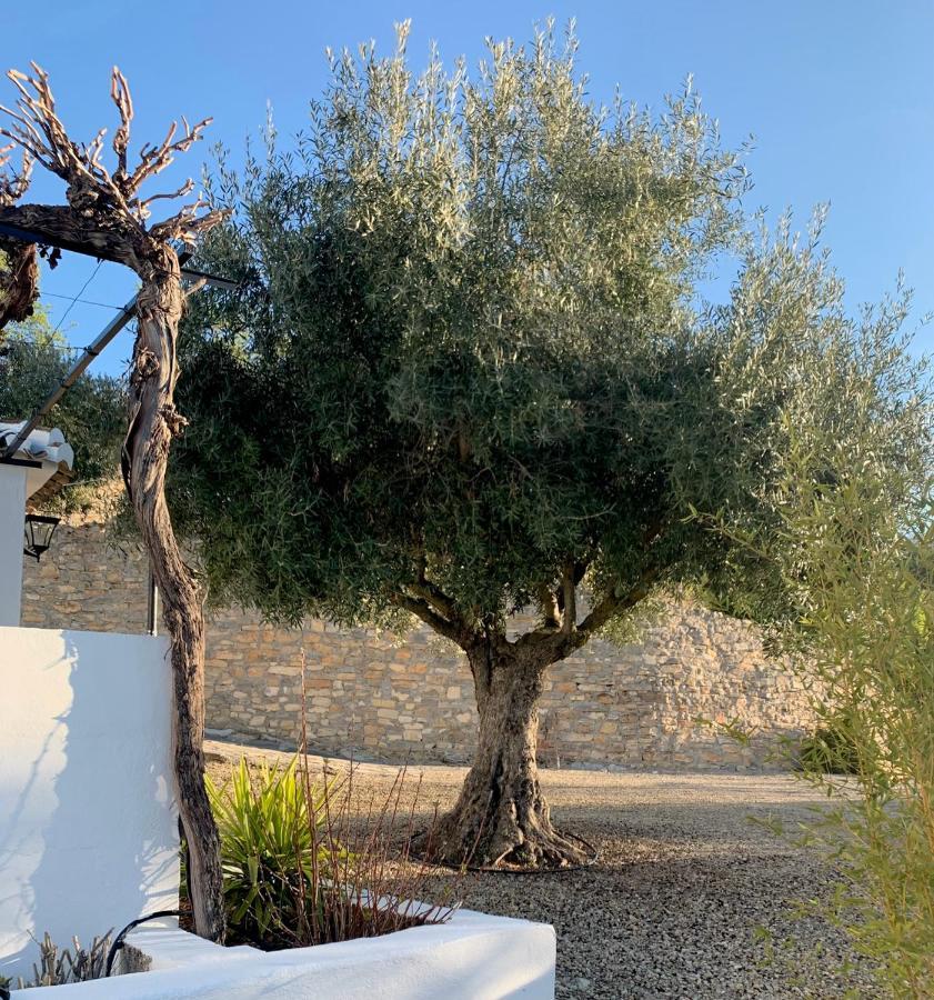 Cortijo La Fe Guest House Montefrio Luaran gambar