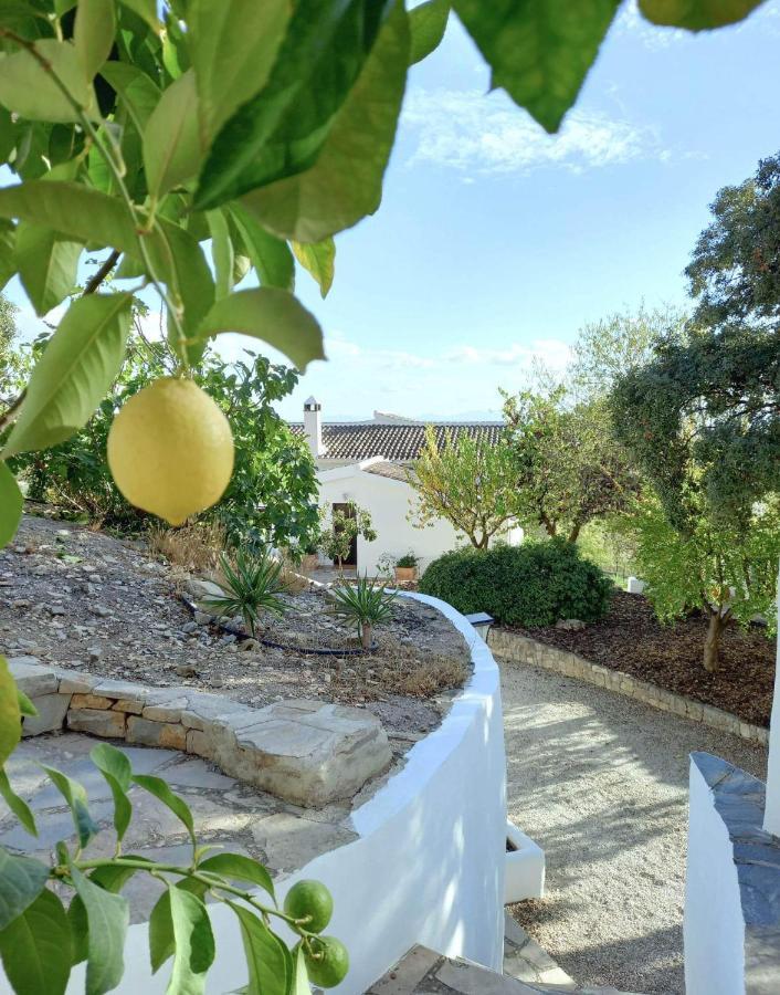 Cortijo La Fe Guest House Montefrio Luaran gambar