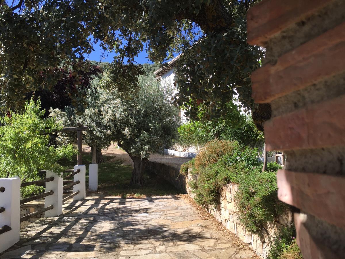 Cortijo La Fe Guest House Montefrio Luaran gambar