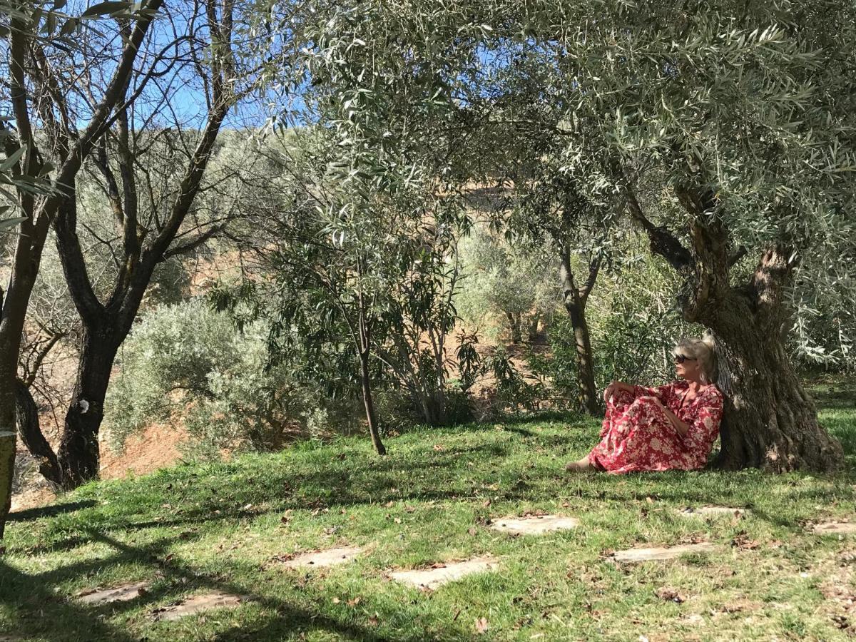 Cortijo La Fe Guest House Montefrio Luaran gambar